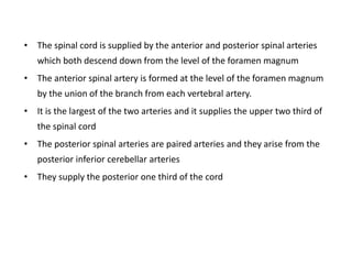 • The spinal cord is supplied by the anterior and posterior spinal arteries
which both descend down from the level of the foramen magnum
• The anterior spinal artery is formed at the level of the foramen magnum
by the union of the branch from each vertebral artery.
• It is the largest of the two arteries and it supplies the upper two third of
the spinal cord
• The posterior spinal arteries are paired arteries and they arise from the
posterior inferior cerebellar arteries
• They supply the posterior one third of the cord
 