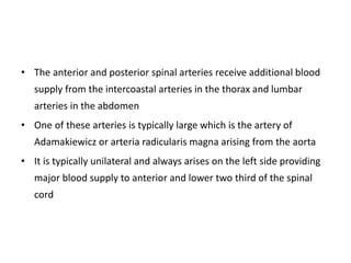 • The anterior and posterior spinal arteries receive additional blood
supply from the intercoastal arteries in the thorax and lumbar
arteries in the abdomen
• One of these arteries is typically large which is the artery of
Adamakiewicz or arteria radicularis magna arising from the aorta
• It is typically unilateral and always arises on the left side providing
major blood supply to anterior and lower two third of the spinal
cord
 