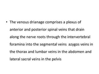 • The venous drianage comprises a plexus of
anterior and posterior spinal veins that drain
along the nerve roots through the intervertebral
foramina into the segmental veins azygos veins in
the thorax and lumbar veins in the abdomen and
lateral sacral veins in the pelvis
 
