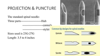 PROJECTION & PUNCTURE
The standard spinal needle-
Three parts---------------------Hub
---------------------cannula
---------------------stylet
Sizes used is 23G-27G
Length- 3.5 to 4 inches
 