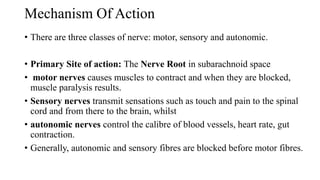 Mechanism Of Action
• There are three classes of nerve: motor, sensory and autonomic.
• Primary Site of action: The Nerve Root in subarachnoid space
• motor nerves causes muscles to contract and when they are blocked,
muscle paralysis results.
• Sensory nerves transmit sensations such as touch and pain to the spinal
cord and from there to the brain, whilst
• autonomic nerves control the calibre of blood vessels, heart rate, gut
contraction.
• Generally, autonomic and sensory fibres are blocked before motor fibres.
 