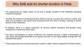 • The requirement for higher doses of LAs and a shorter duration of the anesthetic blockade
should be expected.
• At birth, the volume of cerebrospinal fluid (CSF) (4 mL/kg-1) is twice the volume in adults, and
50% of it is located in the spinal canal (compared with only 25% in adults), resulting in further
dilution of the medication.
• In addition, there is a higher proportion of nervous system structures with greater mass
compared to muscle and bone mass.
• The lower concentration of nodes of Ranvier, the neonate requires a higher concentration of
LAs; along with greater blood flow to the spinal cord with a more rapid uptake of drugs from the
subarachnoid space
• These phenomena are most pronounced in preterm rather infants compared to full-term infants.
Why SAB acts for shorter duration in Peds
 