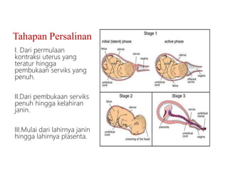 Spinal Analgesia Dr. SRI.pptx