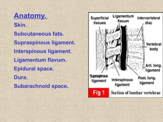 Anatomy.
Skin.
Subcutaneous fats.
Supraspinous ligament.
Interspinous ligament.
Ligamentum flavum.
Epidural space.
Dura.
Subarachnoid space.
 