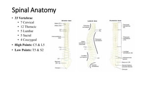 Spinal Anatomy
• 33 Vertebrae
• 7 Cervical
• 12 Thoracic
• 5 Lumbar
• 5 Sacral
• 4 Coccygeal
• High Points: C5 & L5
• Low Points: T5 & S2
 