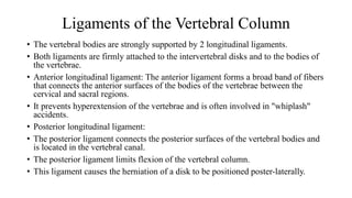 Ligaments of the Vertebral Column
• The vertebral bodies are strongly supported by 2 longitudinal ligaments.
• Both ligaments are firmly attached to the intervertebral disks and to the bodies of
the vertebrae.
• Anterior longitudinal ligament: The anterior ligament forms a broad band of fibers
that connects the anterior surfaces of the bodies of the vertebrae between the
cervical and sacral regions.
• It prevents hyperextension of the vertebrae and is often involved in "whiplash"
accidents.
• Posterior longitudinal ligament:
• The posterior ligament connects the posterior surfaces of the vertebral bodies and
is located in the vertebral canal.
• The posterior ligament limits flexion of the vertebral column.
• This ligament causes the herniation of a disk to be positioned poster-laterally.
 