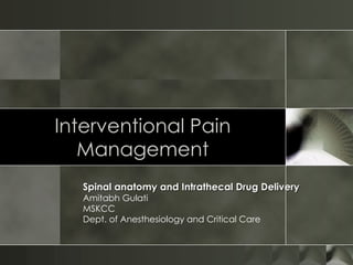 Interventional Pain Management Spinal anatomy and Intrathecal Drug Delivery Amitabh Gulati MSKCC Dept. of Anesthesiology and Critical Care 