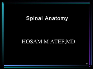 HOSAM M ATEF;MD
1H
Spinal Anatomy
 