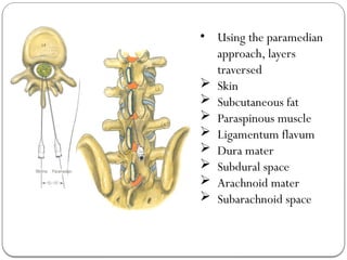 Paraspinous Injection SPINAL AND EPIDURAL anaesthesia. It's role | PPTX