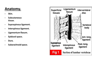 Anatomy.
• Skin.
• Subcutaneous
tissue.
• Supraspinous ligament.
• Interspinous ligament.
• Ligamentum flavum.
• Epidural space.
• Dura.
• Subarachnoid space.
 