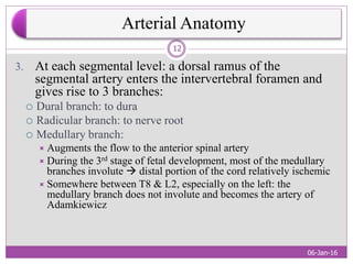 SPINAL CORD ARTERIOVENOUS MALFORMATIONS | PPTX