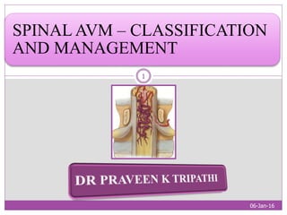 SPINAL AVM – CLASSIFICATION
AND MANAGEMENT
06-Jan-16
1
 