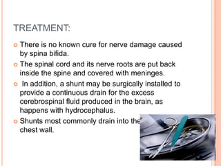 TREATMENT:
 There is no known cure for nerve damage caused
by spina bifida.
 The spinal cord and its nerve roots are put back
inside the spine and covered with meninges.
 In addition, a shunt may be surgically installed to
provide a continuous drain for the excess
cerebrospinal fluid produced in the brain, as
happens with hydrocephalus.
 Shunts most commonly drain into the abdomen or
chest wall.
 