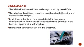 TREATMENT:
 There is no known cure for nerve damage caused by spina bifida.
 The spinal cord and its nerve roots are put back inside the spine and
covered with meninges.
 In addition, a shunt may be surgically installed to provide a
continuous drain for the excess cerebrospinal fluid produced in the
brain, as happens with hydrocephalus.
 Shunts most commonly drain into the chest wall.
 
