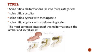 TYPES:

Spina bifida malformations fall into three categories:
 spina bifida occulta
 spina bifida cystica with meningocele
 spina bifida cystica with myelomeningocele.
(The most common location of the malformations is the
lumbar and sacral areas)
 