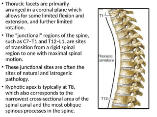 Spinal biomechanics and Fusion basics.pptx