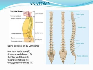 Spinal Block Graph Spinal block | PPTX