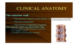 Spinal canal stenosis | PPTX