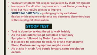 • Vascular symptoms felt in upper calf,relived by short rest (5mins)
• Neurogenic Claudication improves with trunk flexion,stooping or
lying but may require 20 mins to improve
• SHOPPING CART SIGN – pushing a grocery cart allows
flexion,which enhance endurance and decreases discomfort in pt
with Neurological Claudication
STOOP TEST
• Test is done by asking the pt to walk briskly
• As the pain intensifies,pt complain of Sensory
Symptoms followed by Motor Symptoms
• If pt asked to continue to walk,he or she may assume
Stoop Posture and symptoms maybe eased
• As pt sits in chair And bends forward,same resolution
occurs
 
