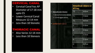 CERVICAL CANAL
• Cervical Canal has AP
Diameter of 17-18 mm
upto C5
• Lower Cervical Canal
Measure 12-14 mm
• Less than 10 Stenotic
THORACIC CANAL
• Also Varies 12-14 mm
• Less than 10 Stenosis
 