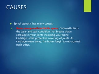CAUSES
 Spinal stenosis has many causes.
1. Bone overgrowth/arthritic spurs: Osteoarthritis is
the wear and tear condition that breaks down
cartilage in your joints including your spine.
Cartilage is the protective covering of joints. As
cartilage wears away, the bones begin to rub against
each other.
 