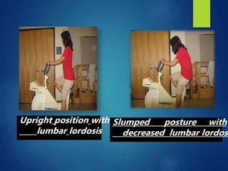 Upright position with
lumbar lordosis
Slumped posture with
decreased lumbar lordosi
 