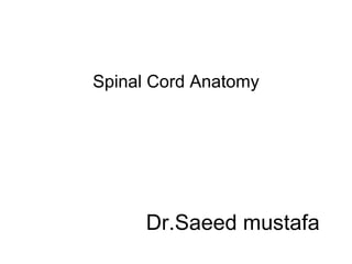 Spinal Cord Anatomy




      Dr.Saeed mustafa
 