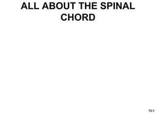 ALL ABOUT THE SPINAL
CHORD

13-1

 