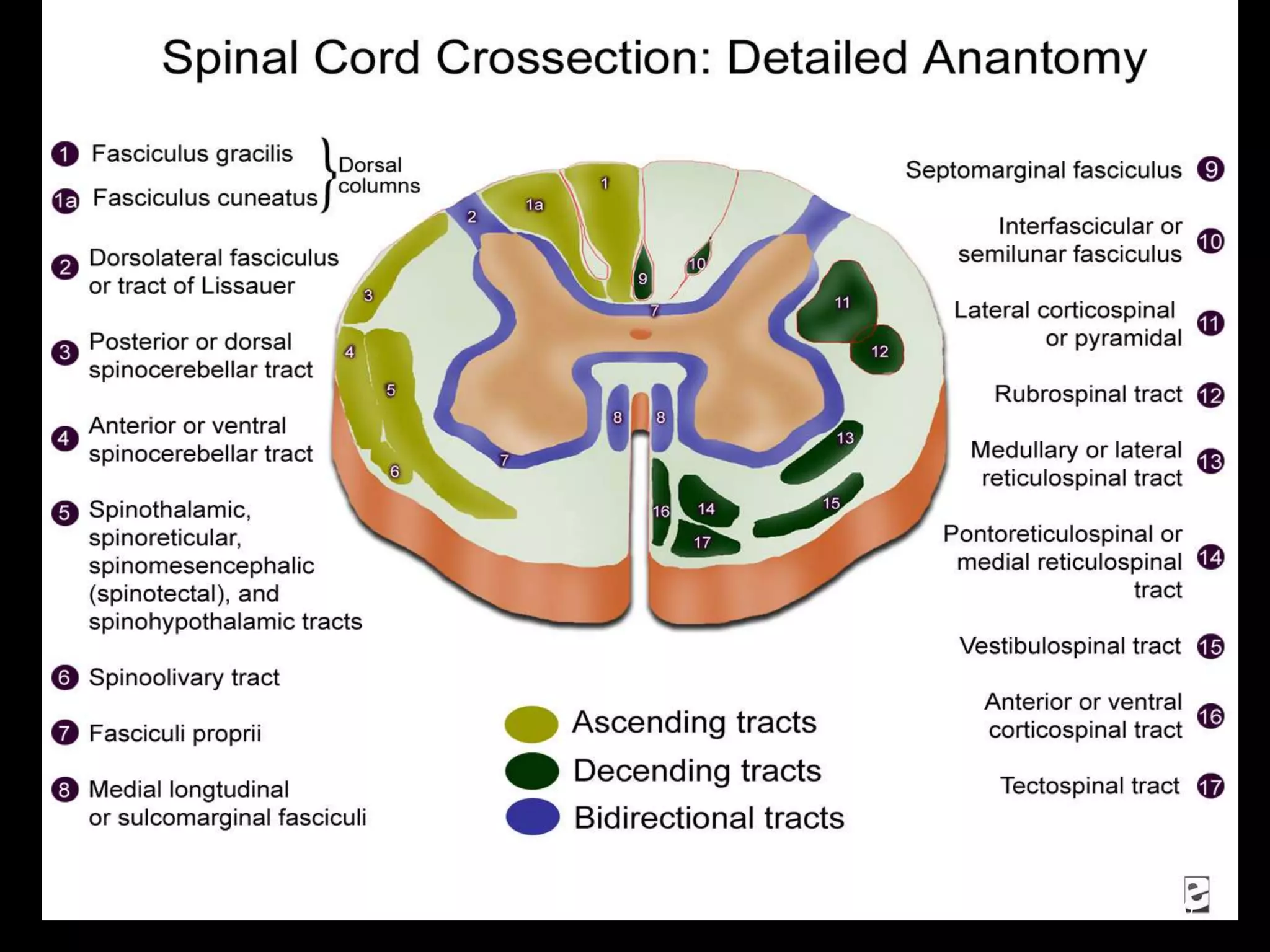12/10/2013 8:40 AM

10

 
