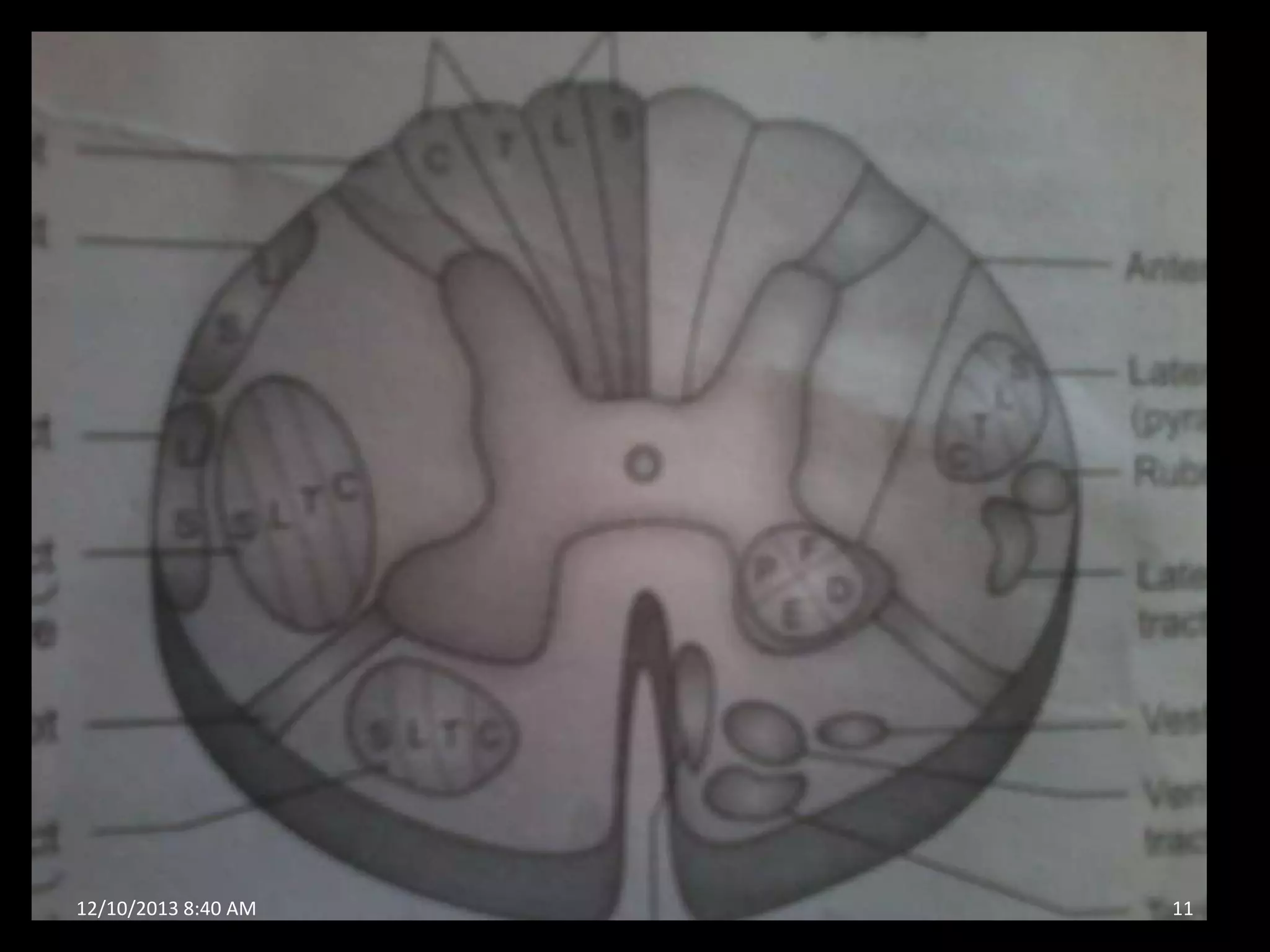 12/10/2013 8:40 AM

11

 