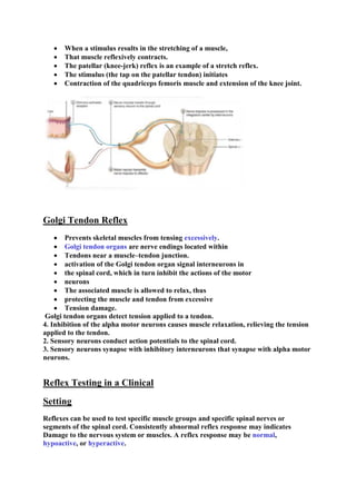  When a stimulus results in the stretching of a muscle,
 That muscle reflexively contracts.
 The patellar (knee-jerk) reflex is an example of a stretch reflex.
 The stimulus (the tap on the patellar tendon) initiates
 Contraction of the quadriceps femoris muscle and extension of the knee joint.
Golgi Tendon Reflex
 Prevents skeletal muscles from tensing excessively.
 Golgi tendon organs are nerve endings located within
 Tendons near a muscle–tendon junction.
 activation of the Golgi tendon organ signal interneurons in
 the spinal cord, which in turn inhibit the actions of the motor
 neurons
 The associated muscle is allowed to relax, thus
 protecting the muscle and tendon from excessive
 Tension damage.
Golgi tendon organs detect tension applied to a tendon.
4. Inhibition of the alpha motor neurons causes muscle relaxation, relieving the tension
applied to the tendon.
2. Sensory neurons conduct action potentials to the spinal cord.
3. Sensory neurons synapse with inhibitory interneurons that synapse with alpha motor
neurons.
Reflex Testing in a Clinical
Setting
Reflexes can be used to test specific muscle groups and specific spinal nerves or
segments of the spinal cord. Consistently abnormal reflex response may indicates
Damage to the nervous system or muscles. A reflex response may be normal,
hypoactive, or hyperactive.
 