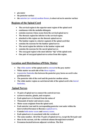  pia mater
 the posterior surface
 the anterior (or ventral) median fissure, is observed on its anterior surface
Regions of the Spinal Cord
 The cervical region is the superior-most region of the spinal cord
 continuous with the medulla oblongata
 contains neurons whose axons form the cervical spinal nerve
 The thoracic region lies inferior to the cervical region.
 attached to this region are the thoracic spinal nerves
 The lumbar region is a shorter segment of the spinal cord that
 contains the neurons for the lumbar spinal nerves
 The sacral region lies inferior to the lumbar region and
 contains the neurons for the sacral spinal nerves
 The coccygeal region is the most inferior “tip” of the spinal cord.
 One pair of coccygeal spinal nerves arises from this region.
Location and Distribution ofWhite Matter
 The white matter of the spinal cord is external to the gray matter
 White matter on each side of the three regions.
 A posterior funiculus lies between the posterior gray horns on cord is also
partitioned into
 The posterior side of the cord and the posterior median sulcus.
 The white matter region on each lateral side of the spinal cord is the lateral
funiculus.
Spinal Nerves
 31 pairs of spinal nerves connect the central nervous
 system to muscles, glands, and receptors
 Each spinal nerve is formed from the union of
 Thousands of motor and sensory axons.
 Motor axons originate from the spinal cord.
 Each anterior root and its corresponding posterior root unite within the
intervertebral foramen to Become a spinal nerve.
 Contain both motor axons and sensory axons.
 Each spinal nerve is associated with the vertebra of
 The same number. All of the 31 pairs of spinal nerves, except the first pair and
 those in the sacrum, exit the vertebral column through intervertebral
 Foramena located between adjacent vertebrae. The first
 