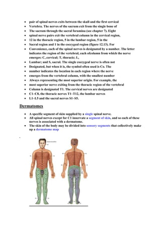  pair of spinal nerves exits between the skull and the first cervical
 Vertebra. The nerves of the sacrum exit from the single bone of
 The sacrum through the sacral foramina (see chapter 7). Eight
 spinal nerve pairs exit the vertebral column in the cervical region,
 12 in the thoracic region, 5 in the lumbar region, 5 in the
 Sacral region and 1 in the coccygeal region (figure 12.13). For
 Convenience, each of the spinal nerves is designated by a number. The letter
indicates the region of the vertebral, each ofcolumn from which the nerve
emerges: C, cervical; T, thoracic; L,
 Lumbar; and S, sacral. The single coccygeal nerve is often not
 Designated, but when it is, the symbol often used is Co. The
 number indicates the location in each region where the nerve
 emerges from the vertebral column, with the smallest number
 Always representing the most superior origin. For example, the
 most superior nerve exiting from the thoracic region of the vertebral
 Column is designated T1. The cervical nerves are designated
 C1–C8, the thoracic nerves T1–T12, the lumbar nerves
 L1–L5 and the sacral nerves S1–S5.
Dermatomes
 A specific segment of skin supplied by a single spinal nerve.
 All spinal nerves except for C1 innervate a segment of skin, and so each of these
nerves is associated with a dermatome.
 The skin of the body may be divided into sensory segments that collectively make
up a dermatome map
.
 