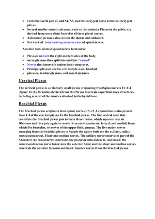  Form the sacral plexus, and S4, S5, and the coccygeal nerve form the coccygeal
plexus.
 Several smaller somatic plexuses, such as the pudenda Plexus in the pelvis, are
derived from more distal branches of them pineal nerves.
 Autonomic plexuses also exist in the thorax and abdomen.
 Net work of interweaving anterior rami of spinal nerves.
Anterior rami of most spinal nerves form nerve
 Plexuses on both the right and left sides of the body.
 nerve plexuses then split into multiple “named”
 Nerves that innervate various body structures.
 Principal plexuses are the cervical plexuses, brachial
 plexuses, lumbar plexuses, and sacral plexuses
Cervical Plexus
The cervical plexus is a relatively small plexus originating fromSpinal nerves C1–C4
(figure 12.16). Branches derived from this Plexus innervate superficial neck structures,
including several of the muscles attached to the hyoid bone.
Brachial Plexus
The brachial plexus originates from spinal nerves C5–T1 A connection is also present
from C4 of the cervical plexus To the brachial plexus. The five ventral rami that
constitute the Brachial plexus join to form three trunks, which separate into six
Divisions and then join again to create three cords (posterior, lateral, and medial) from
which five branches, or nerves of the upper limb, emerge. The five major nerves
emerging from the brachial plexus to Supply the upper limb are the axillary, radial,
musculocutaneous, Ulnar and median nerves. The axillary nerve innervates part of the
Shoulder; the radial nerve innervates the posterior arm, forearm, And hand; the
musculocutaneous nerve innervates the anterior Arm; and the ulnar and median nerves
innervate the anterior forearm and hand. Smaller nerves from the brachial plexus
 