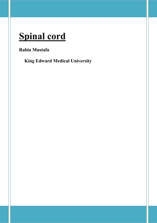 1
Spinal cord
Rabia Mustafa
King Edward Medical University
 