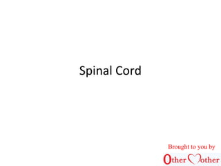 Spinal Cord
Brought to you by
 