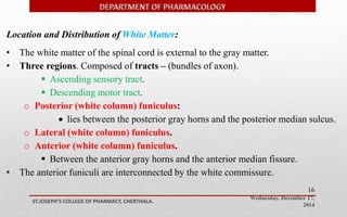 Wednesday, December 17, 
2014 
ST.JOSEPH’S COLLEGE OF PHARMACY, CHERTHALA. 
16 
Location and Distribution of White Matter: 
• The white matter of the spinal cord is external to the gray matter. 
• Three regions. Composed of tracts – (bundles of axon). 
 Ascending sensory tract. 
 Descending motor tract. 
o Posterior (white column) funiculus: 
 lies between the posterior gray horns and the posterior median sulcus. 
o Lateral (white column) funiculus. 
o Anterior (white column) funiculus. 
 Between the anterior gray horns and the anterior median fissure. 
• The anterior funiculi are interconnected by the white commissure. 
 