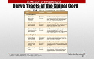 Nerve Tracts of the Spinal Cord 
Wednesday, December 17, 
2014 
ST.JOSEPH’S COLLEGE OF PHARMACY, CHERTHALA. 
21 
 