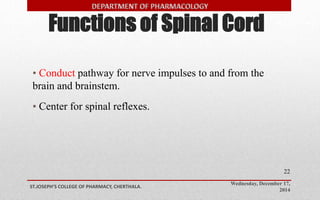 Functions of Spinal Cord 
• Conduct pathway for nerve impulses to and from the 
brain and brainstem. 
Wednesday, December 17, 
2014 
ST.JOSEPH’S COLLEGE OF PHARMACY, CHERTHALA. 
22 
• Center for spinal reflexes. 
 