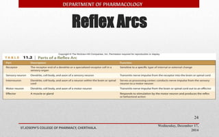 Reflex Arcs 
Wednesday, December 17, 
2014 
ST.JOSEPH’S COLLEGE OF PHARMACY, CHERTHALA. 
24 
 
