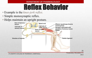 Reflex Behavior 
Effector (quadriceps femoris 
muscle group) 
Receptor associated with 
dendrites of sensory neuron 
Wednesday, December 17, 
2014 
Spinal cord 
Axon of sensory 
neuron 
Cell body of 
sensory neuron 
Cell body of 
motor neuron 
Axon of motor 
neuron 
ST.JOSEPH’S COLLEGE OF PHARMACY, CHERTHALA. 
26 
• Example is the knee-jerk reflex. 
• Simple monosynaptic reflex. 
• Helps maintain an upright posture. 
Copyright © The McGraw-Hill Companies, Inc. Permission required for reproduction or display. 
Patella 
Direction of impulse Patellar ligament 
 