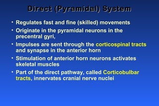 The Direct Pyramidal System Spinal cord Anatomy by Dr. Naseer (RMC) | PPT