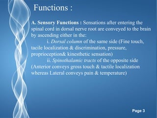 Spinal Cord Anatomy And Physiology Ppt