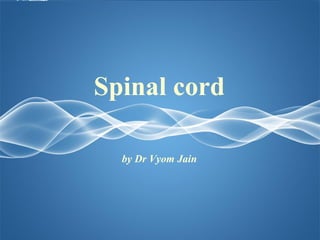 Page 1
Spinal cord
by Dr Vyom Jain
 