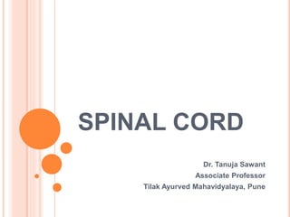 SPINAL CORD
Dr. Tanuja Sawant
Associate Professor
Tilak Ayurved Mahavidyalaya, Pune
 