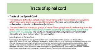 Tracts of spinal cord
• Tracts of the Spinal Cord
• The tracts are defined as collections of nerve fibres within the central nervous system,
which have same origin, course and termination. They are sometimes referred to
as fasciculus (= bundle) or lemniscus (= ribbon).
• The spinal cord has numerous groups of nerve fibers going towards and coming from the
brain. These have been collectively called the ascending and descending tracts of the
spinal cord, respectively. The tracts are responsible for carrying sensory and motor
stimuli to and from the periphery (respectively).
• Ascending tracts of the spinal cord
• Growing up, the impression was given that there were only five senses that humans can detect. These
were sight, smell, sound, taste, and touch. However, it is clear that touch can be further expanded to include pain,
thermal changes, pressure, light (crude) touch, vibration, two-point discrimination, and proprioception. Sight,
sound, smell, and taste are special afferent stimuli that are conveyed through their respective cranial nerves.
However, the other tactile modalities are transmitted through the ascending tracts of the spinal cord. There are
eight known ascending tracts conveying a variety of sensory stimuli that are discussed below.
 