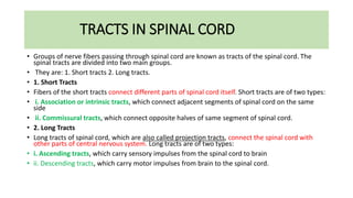 TRACTS IN SPINAL CORD
• Groups of nerve fibers passing through spinal cord are known as tracts of the spinal cord. The
spinal tracts are divided into two main groups.
• They are: 1. Short tracts 2. Long tracts.
• 1. Short Tracts
• Fibers of the short tracts connect different parts of spinal cord itself. Short tracts are of two types:
• i. Association or intrinsic tracts, which connect adjacent segments of spinal cord on the same
side
• ii. Commissural tracts, which connect opposite halves of same segment of spinal cord.
• 2. Long Tracts
• Long tracts of spinal cord, which are also called projection tracts, connect the spinal cord with
other parts of central nervous system. Long tracts are of two types:
• i. Ascending tracts, which carry sensory impulses from the spinal cord to brain
• ii. Descending tracts, which carry motor impulses from brain to the spinal cord.
 