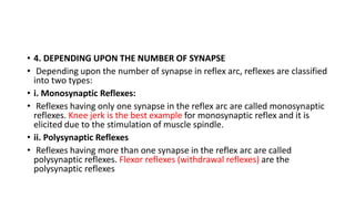 • 4. DEPENDING UPON THE NUMBER OF SYNAPSE
• Depending upon the number of synapse in reflex arc, reflexes are classified
into two types:
• i. Monosynaptic Reflexes:
• Reflexes having only one synapse in the reflex arc are called monosynaptic
reflexes. Knee jerk is the best example for monosynaptic reflex and it is
elicited due to the stimulation of muscle spindle.
• ii. Polysynaptic Reflexes
• Reflexes having more than one synapse in the reflex arc are called
polysynaptic reflexes. Flexor reflexes (withdrawal reflexes) are the
polysynaptic reflexes
 