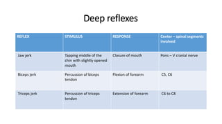 Deep reflexes
REFLEX STIMULUS RESPONSE Center – spinal segments
involved
Jaw jerk Tapping middle of the
chin with slightly opened
mouth
Closure of mouth Pons – V cranial nerve
Biceps jerk Percussion of biceps
tendon
Flexion of forearm C5, C6
Triceps jerk Percussion of triceps
tendon
Extension of forearm C6 to C8
 