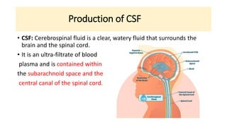 Production of CSF
• CSF: Cerebrospinal fluid is a clear, watery fluid that surrounds the
brain and the spinal cord.
• It is an ultra-filtrate of blood
plasma and is contained within
the subarachnoid space and the
central canal of the spinal cord.
 